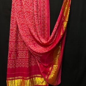 Shikara printed duptta