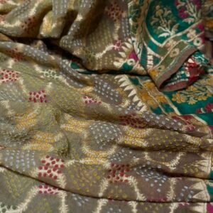 Banarasi handloom saree